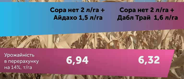 Результати дослідів 2020 гербіцидного захисту, технології сівби соняшнику, кукурудзи та пшениці фото 7 LNZ Group