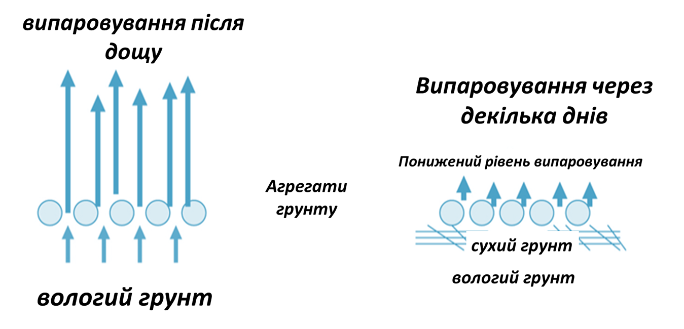 Обробіток ґрунту. Основні завдання для вирішення в умовах змін клімату фото 4 LNZ Group