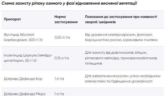 Весняний захист: особливості роботи з озимим ріпаком фото 5 LNZ Group