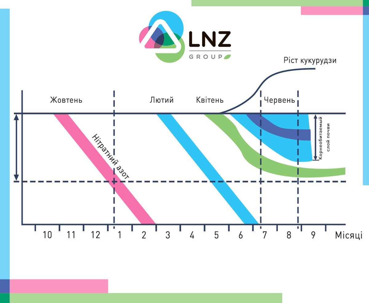 Азотне живлення кукурудзи фото 1 LNZ Group