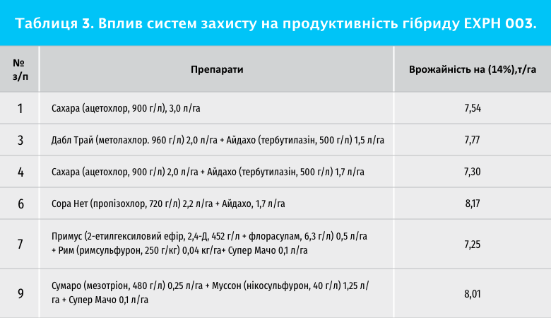 Час підбити підсумки. Результати LNZ hub 2019 фото 6 LNZ Group