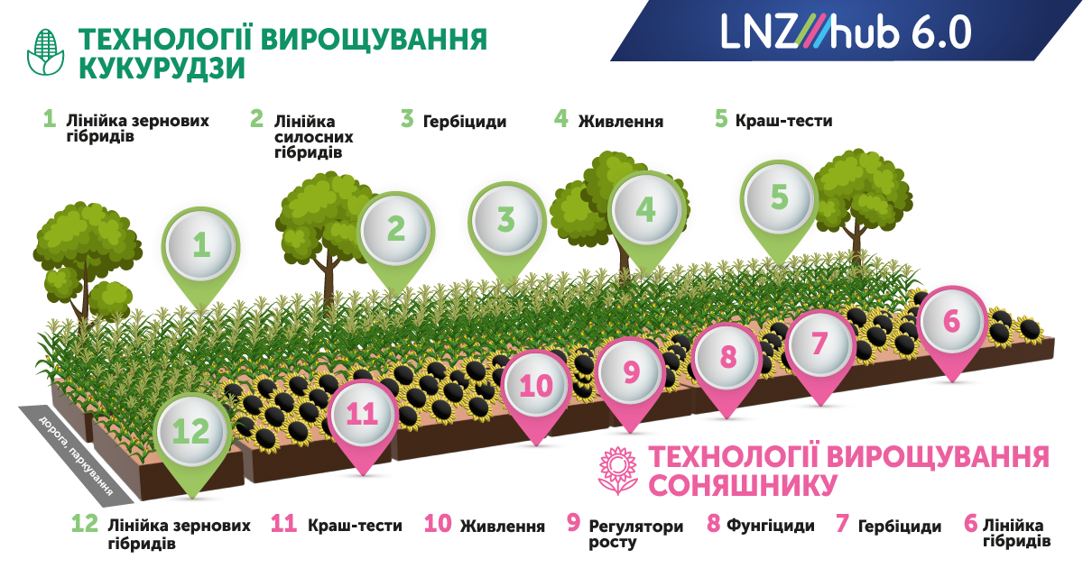 Нові краш тести, рістрегуляція соняшнику на LNZ Hub 6.0 фото 1 LNZ Group