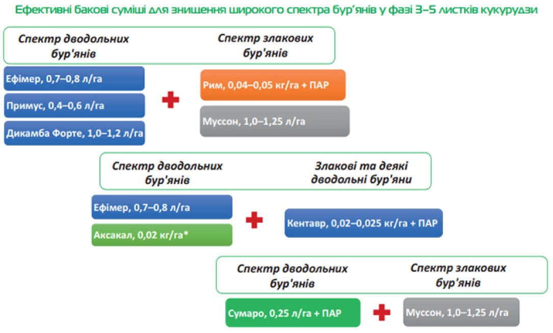 Системи гербіцидного захисту від DEFENDA на кукурудзі фото 3 LNZ Group