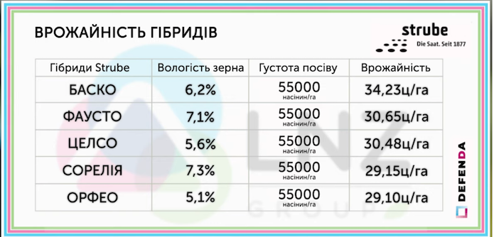 Mini Hub: результати випробування 5 гібридів соняшнику Strube фото 1 LNZ Group