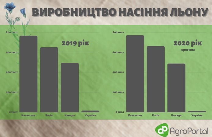 Чому льон так і не зайняв лідерську позицію на українських полях фото 3 LNZ Group