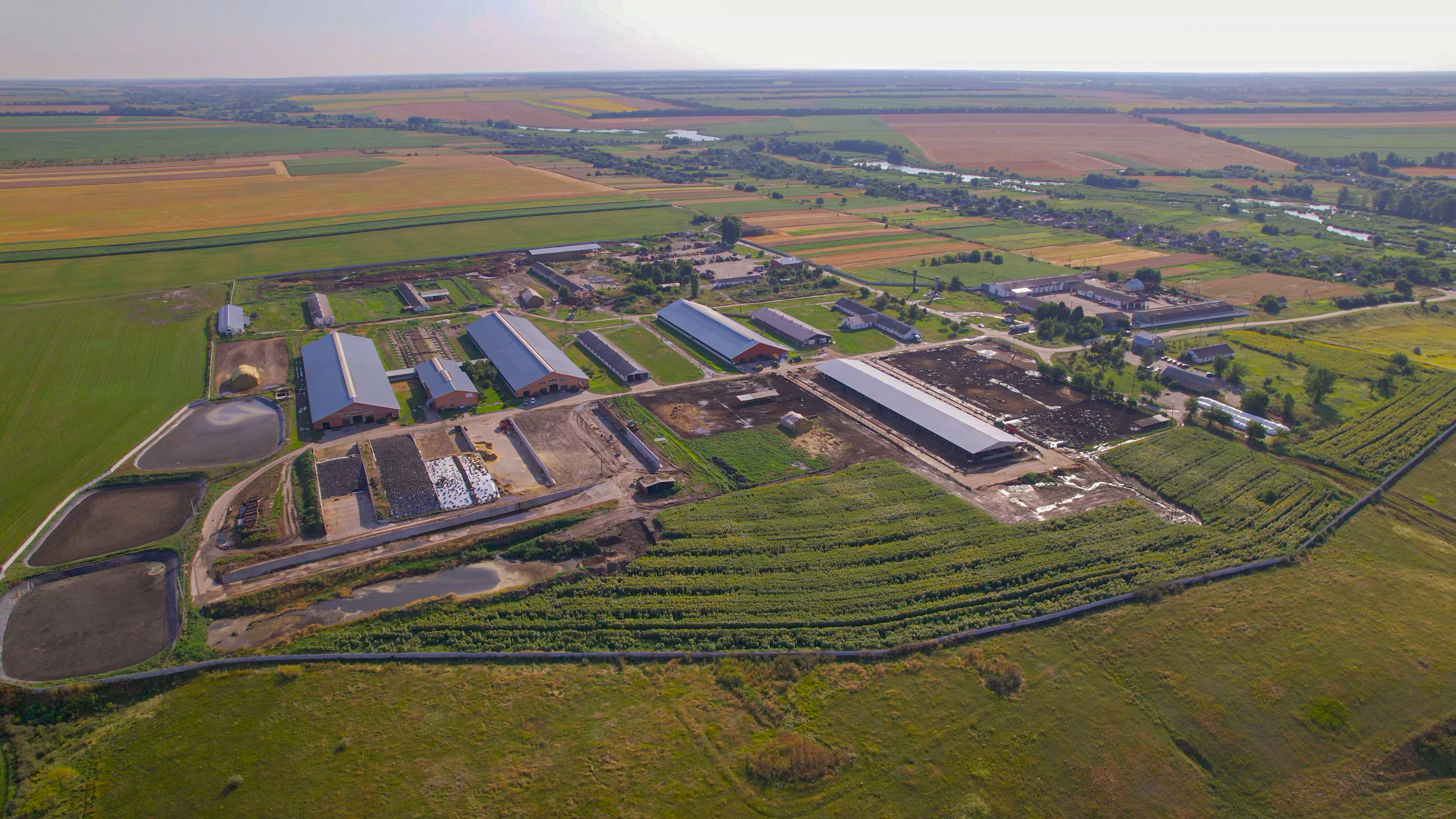 Silage Workshop: визначено всі складові високоякісного силосу фото 6 LNZ Group