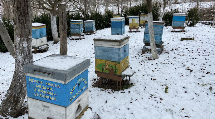 Бджоли та ЗЗР: як не втратити врожай та вберегти комах фото 1 LNZ Group