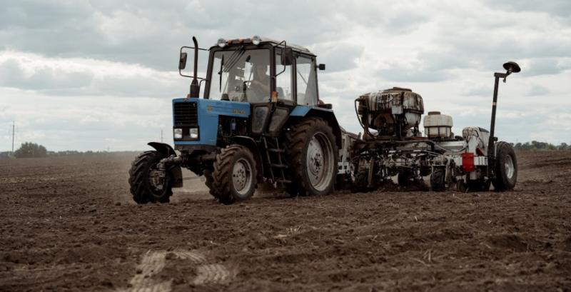 Пізню сівбу озимої пшениці рекомендують компенсувати підвищеною нормою висіву фото 1 LNZ Group