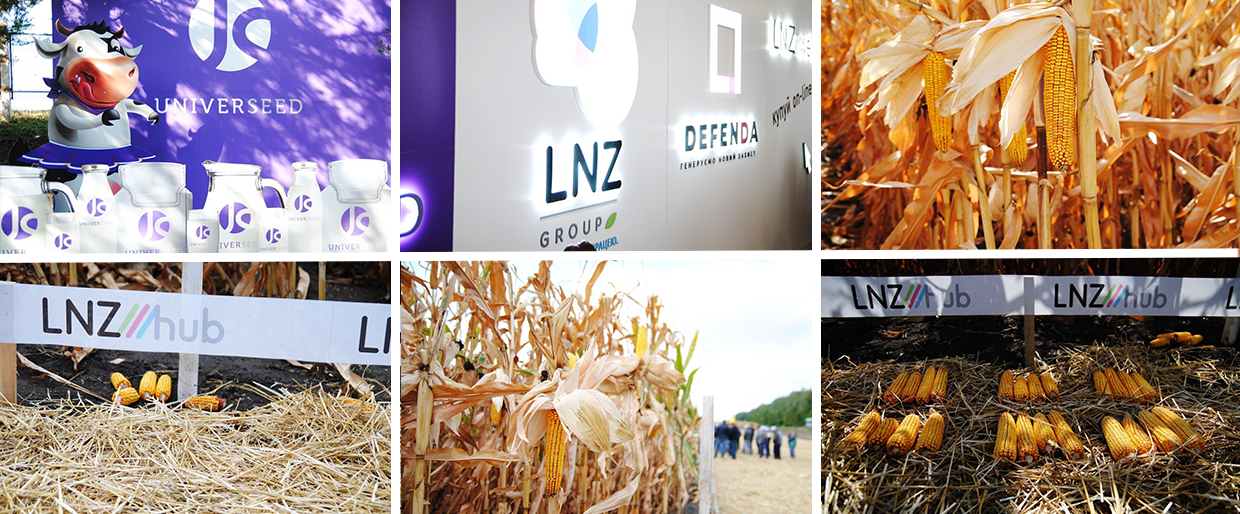 Аграріям продемонстрували, як підвищити результати вирощування кукурудзи фото 3 LNZ Group