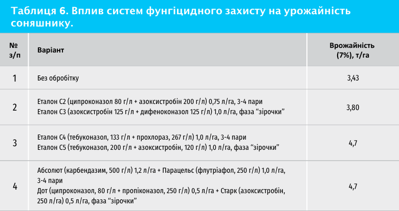 Час підбити підсумки. Результати LNZ hub 2019 фото 11 LNZ Group