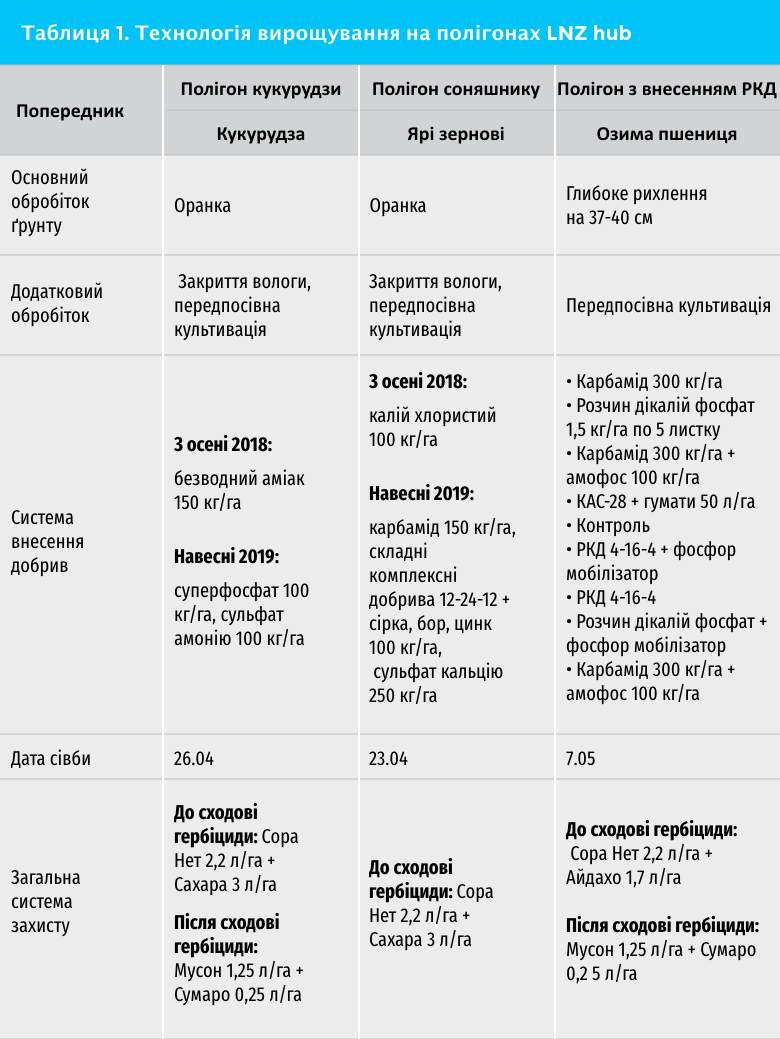 Час підбити підсумки. Результати LNZ hub 2019 фото 3 LNZ Group