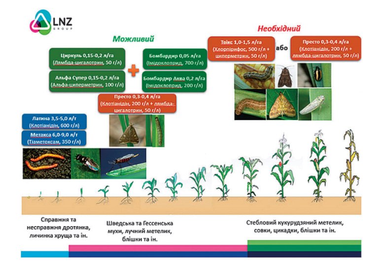 Захист кукурудзи від шкідників фото 1 LNZ Group