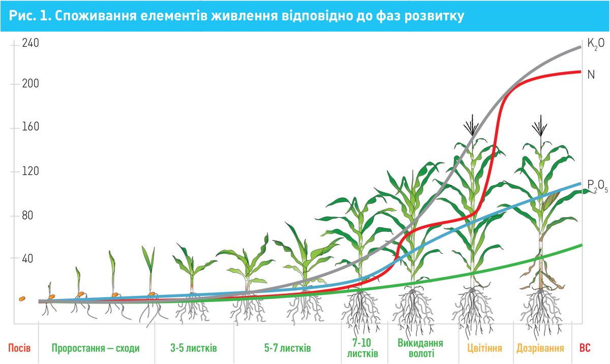 Система удобрення кукурудзи фото 2 LNZ Group