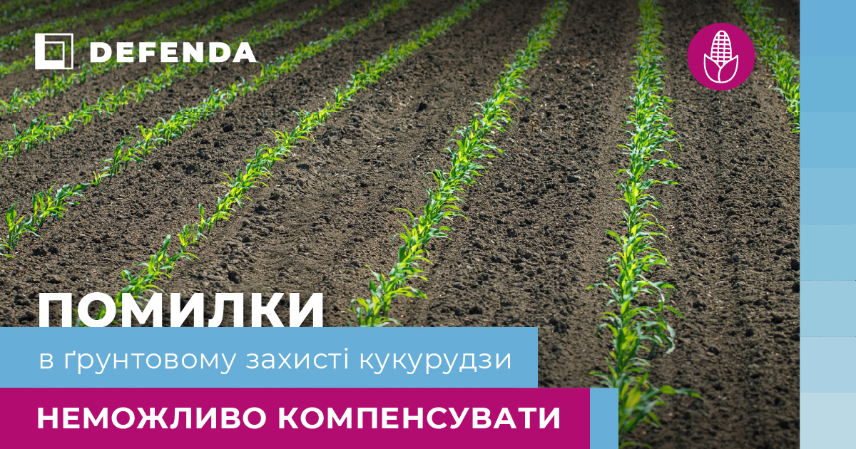 Ґрунтові гербіциди бренду DEFENDA: стратегія чистого старту кукурудзи фото 1 LNZ Group