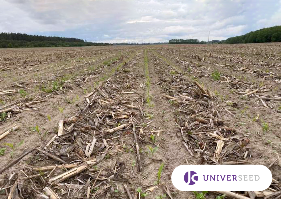 Вартість системи захисту кукурудзи за Strip-till складає на 1 га фото 1 LNZ Group